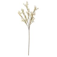 35" White Chamelaucium Spray