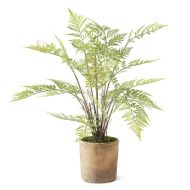 28" Fern Plant In Ceramic Pot