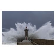 Natural Passion Coastal Wall Art