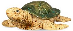 11" Turtle Green