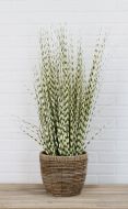 34" Zebra Grass Faux Botanical Plant
