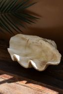 Giant Resin Clam Shell