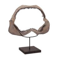 Ola Shark Jaw for Tabletop or Wall Decor