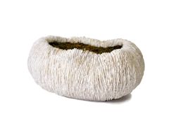 9" Faux Coral Planter