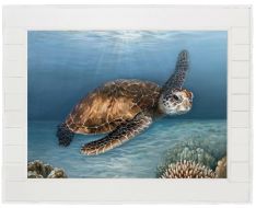 Shiplap Turtle Shiplap Framed Wall Art on Canvas with Wood Frame