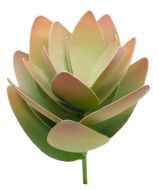Metal Succulent