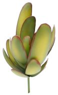 Taller Metal Succulent