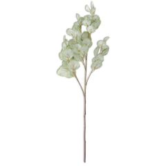 40" Soft Green Flat Leaf Eucalyptus Stem