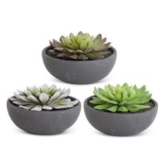 Succulent Matte Black Each