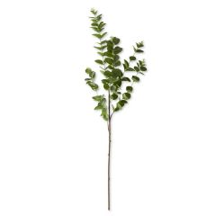 38" Dark Green Gunnii Eucalyptus Stem