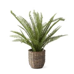24.5" Boston Fern In Woven Rattan Basket w/ Faux Dirt