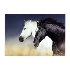 Free Motion Glass Wall Art