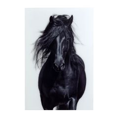 Nature's Beauty III Glass Wall Art