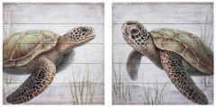 Sea Turtles on Wood Each