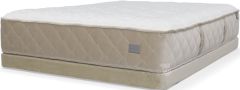 Chattam & Wells Premier Chantilly Plush Top Mattress in Queen Size