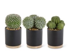 Cactus Matte Black Pot Each