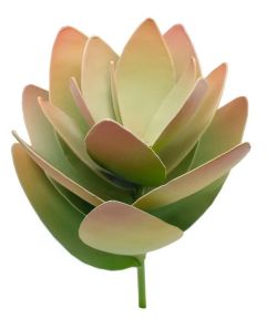Metal Succulent